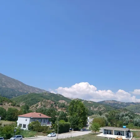 Pacani Hotel *